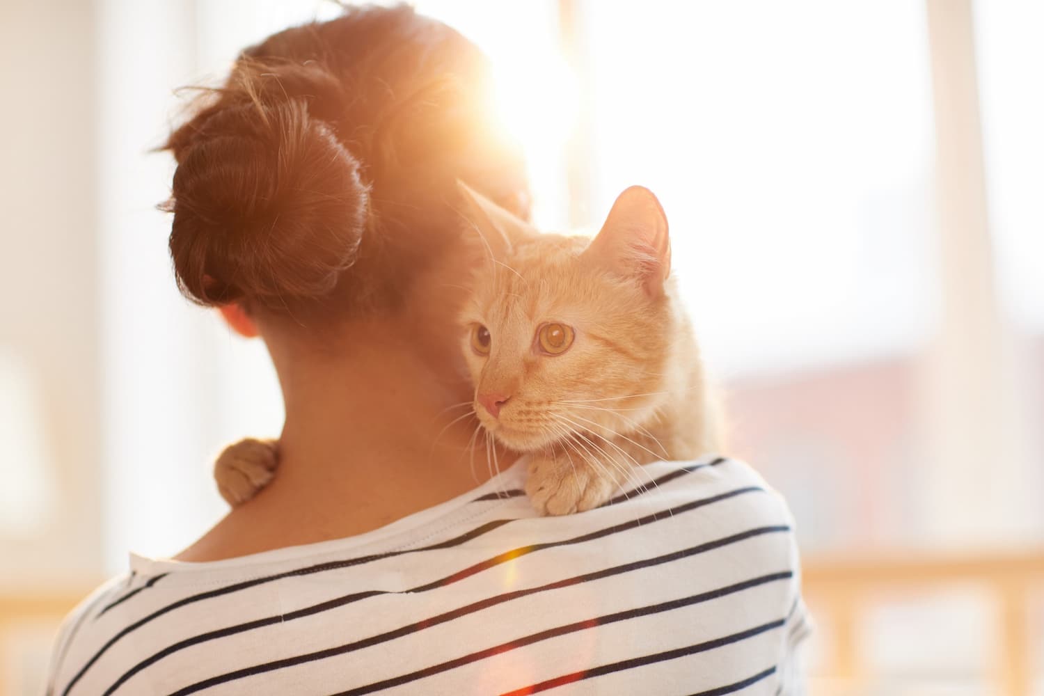 A person with dark hair in a bun, wearing a striped shirt, holds an orange cat over their shoulder in a sunlit room.