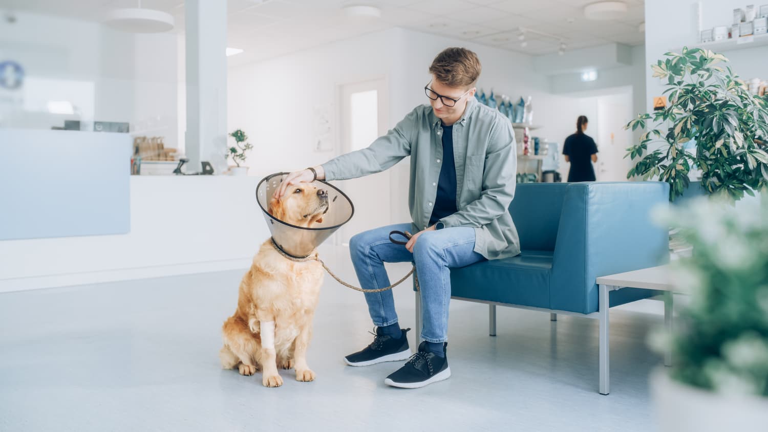 A man sits on a blue couch in a veterinary clinic, gently petting a golden retriever wearing a protective cone around its neck after a recent dental procedure.