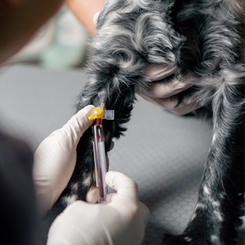 Diagnostics